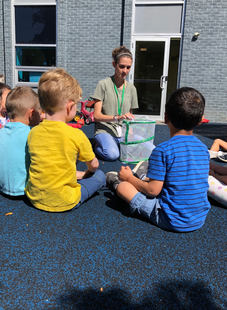 Saplings butterfly release